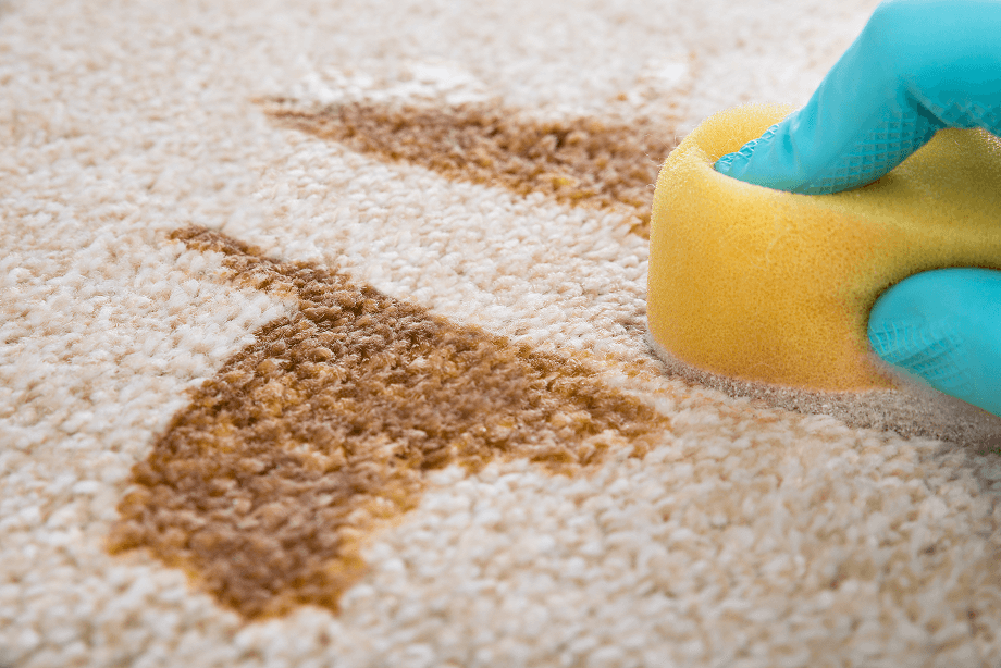 ¿Cómo limpiar una alfombra en seco?